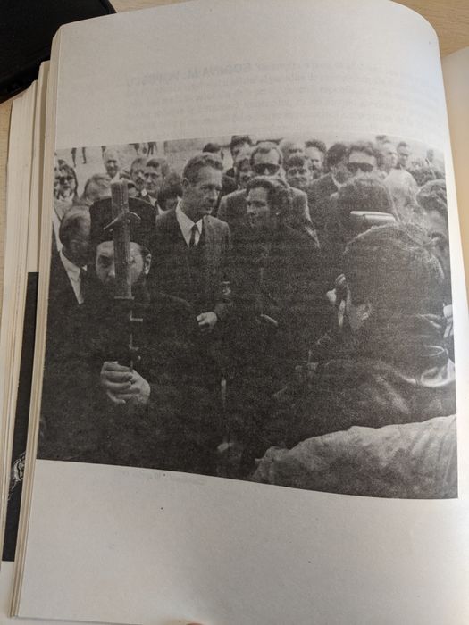 Majestate, nu pleca - Articole despre Regele Mihai - rară