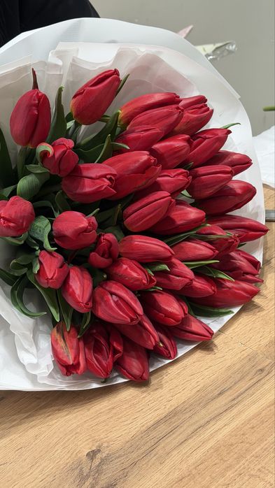 51 голландских тюльпанов