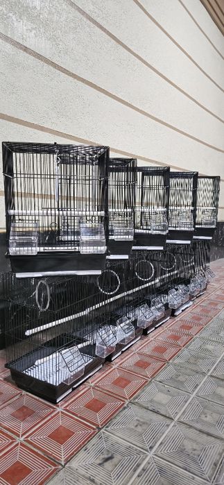 Клетка стандарт black edition