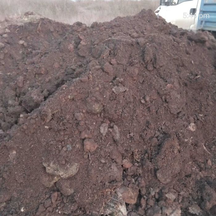 Mranita pentru grădină