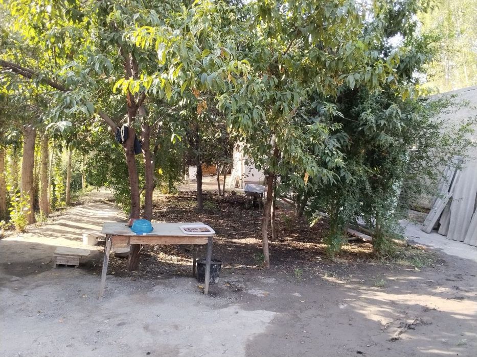 Hamyonbob Chek Sotiladi