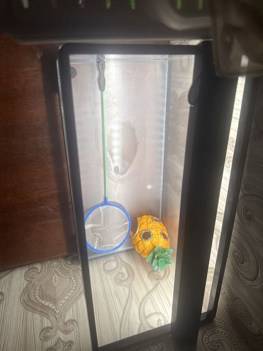 Продется аквариум   с  сачком и домиком