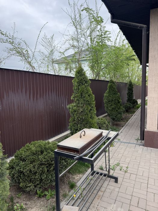 Продам туи, елки, яблони