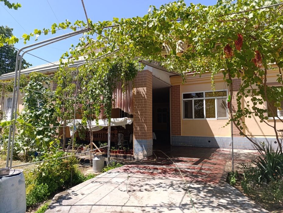 Чиназ тумани, Алмазар қирғонида 8 хонали  20 сотих ҳовли-сотилади!