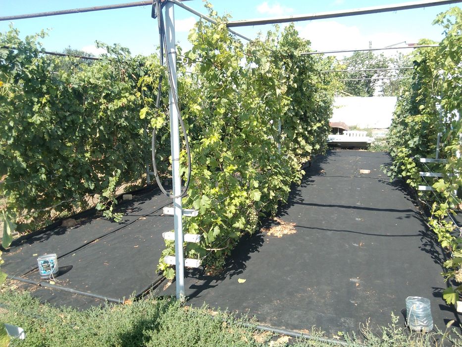 Продам Дом!п.Рубежка