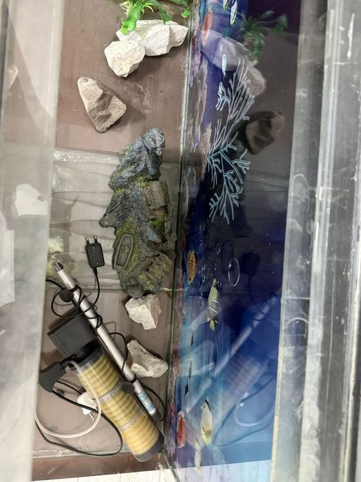 Продаётся аквариум