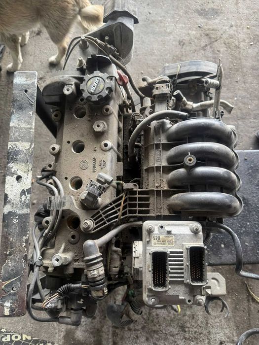 Двигател за фиат пунто Fiat Punto 1.2 16V