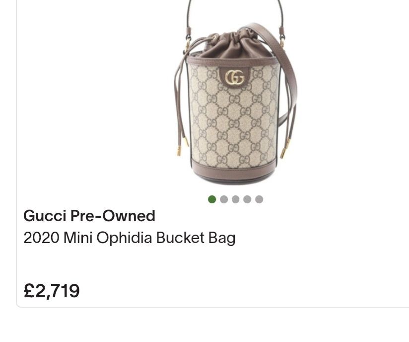 Ophidia bucket/Gucci tote-bee