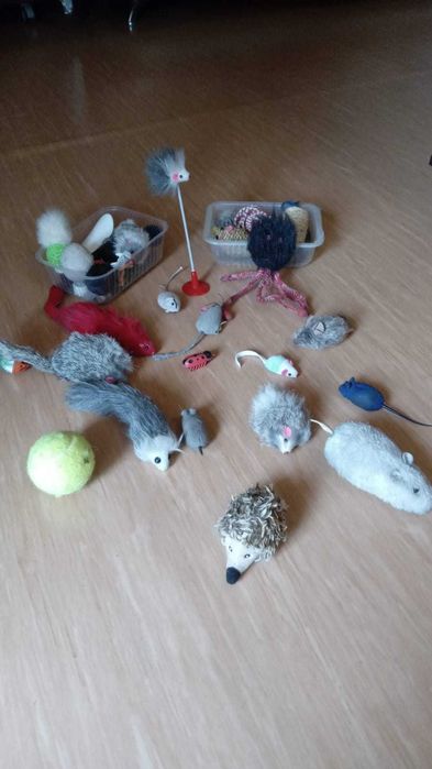 Зооняня для кошечек