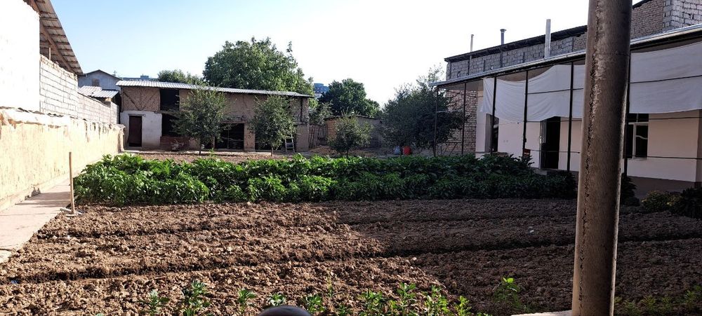 Hovli sotiladi 10 sotix