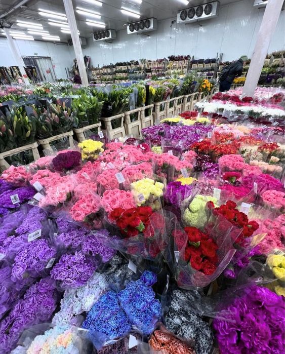 Тюльпаны, герберы, хризантемы, ромашки, пионы, розы