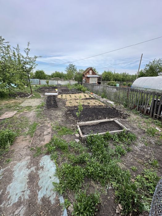 Продам дачу ( СО Дружба)