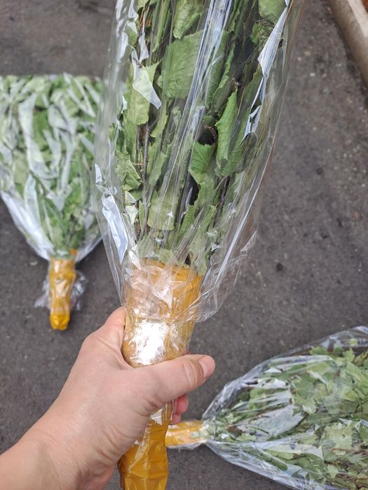 Продаю веник берёза