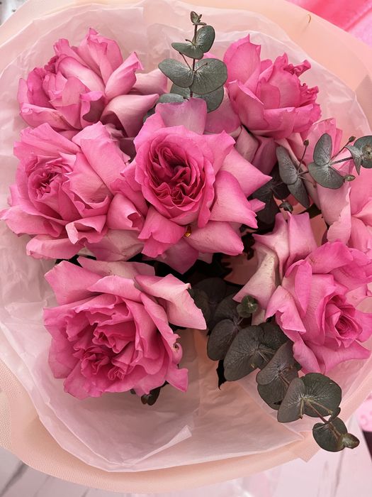 7 штук розовых роз