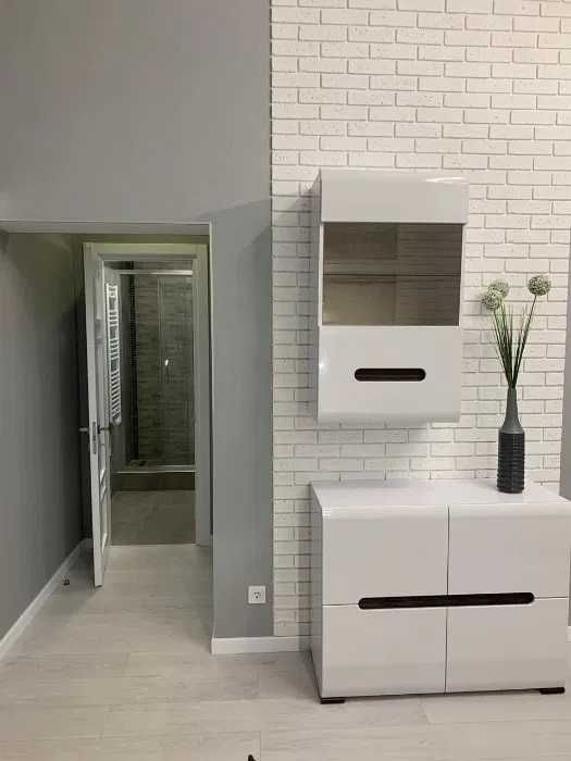 Центр, Чехова/Шевченко, Ойбек, шикарная высокопотолочка 2/2/4