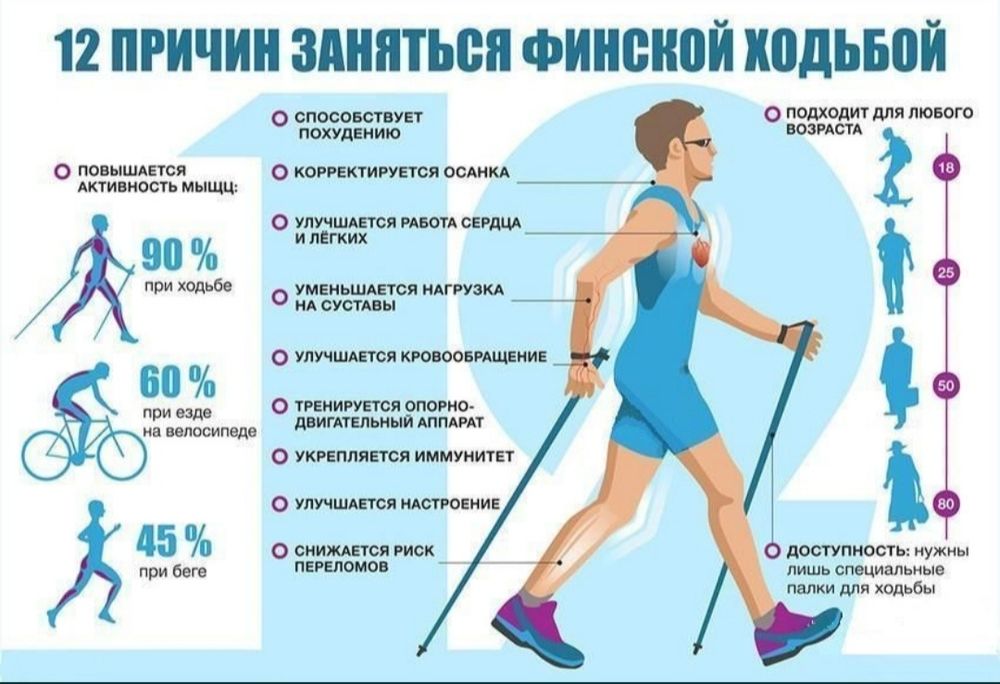 Палка для ходьбы (Скандинавская палка)