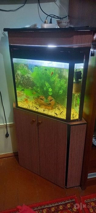Akvarium sotiladi