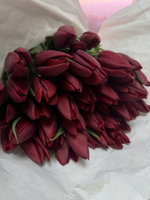 Тюльпаны 650 тенге