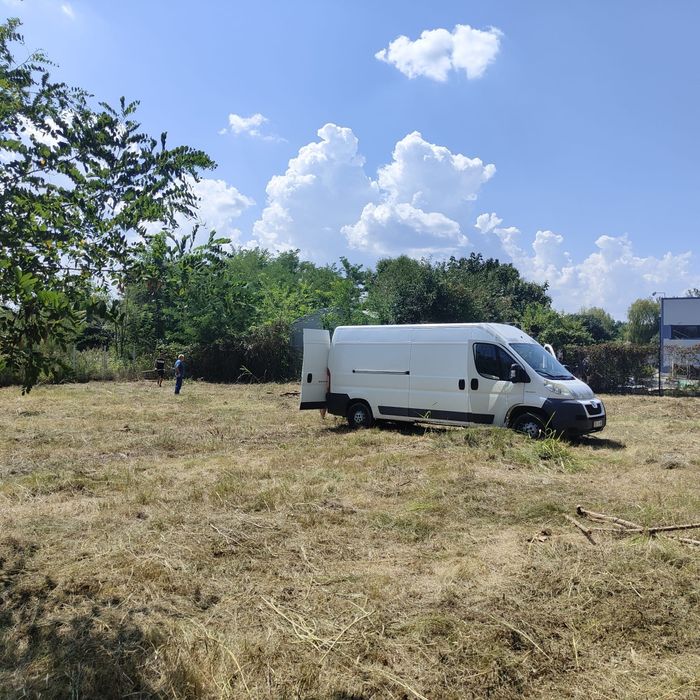 Defrișări toaletări