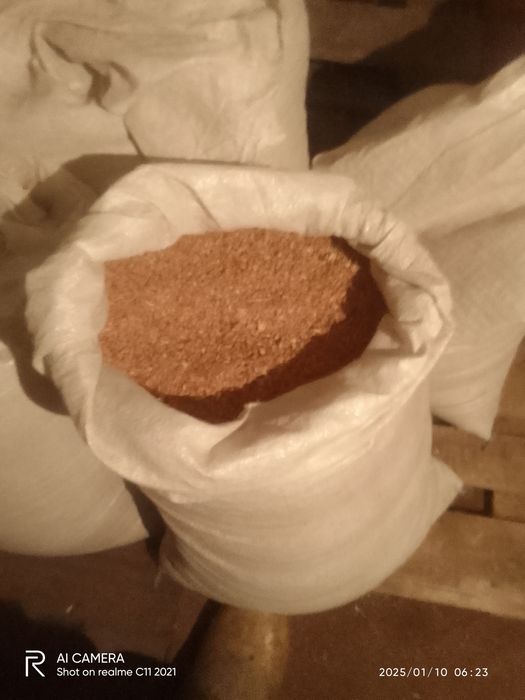 Зерно пшеницы для курей