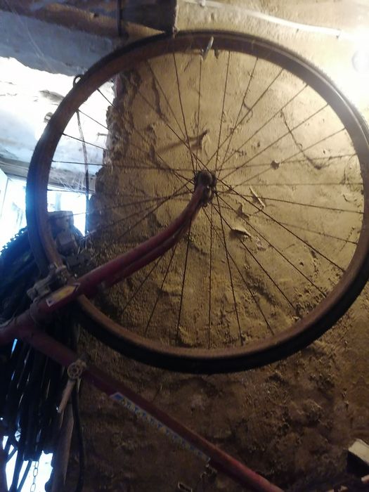 Велосипеди бегачи. Автентични