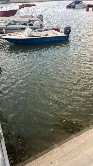 Barcă cu motor forward