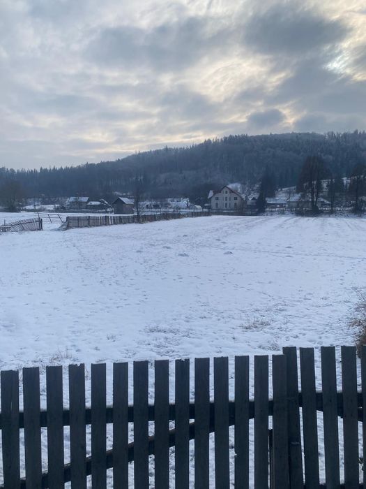 Teren Frasin 6000 m²