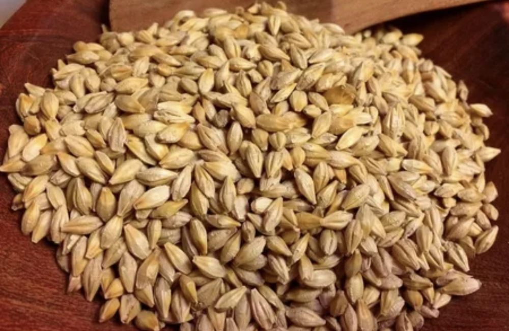 Продам Ячмень сухой,чищеный 80 тыс тг с Хозяйства