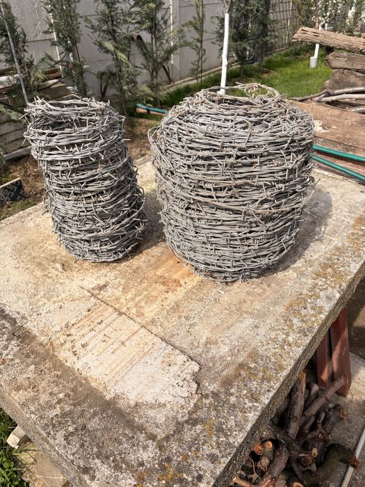 Se vinde sarma ghimpata