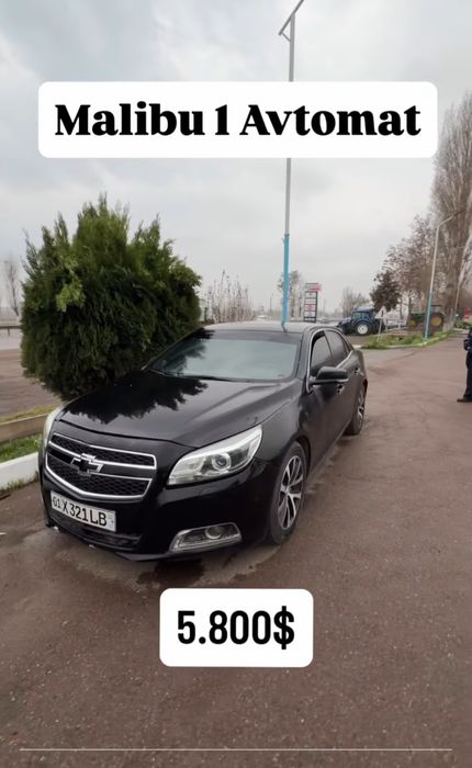 Mlalibu 1 Avtomat 2013