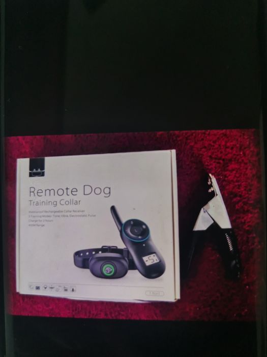 Remote Dog Training Coller