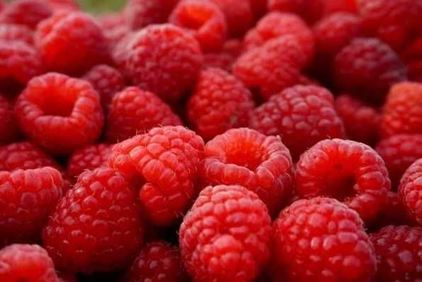 Vand Zmeura soiul Delniwa