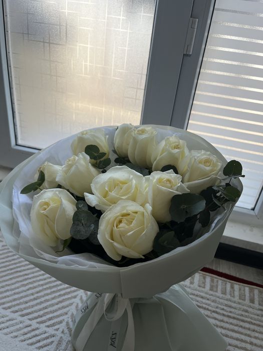 Ак роза келисим бар жазыныздар