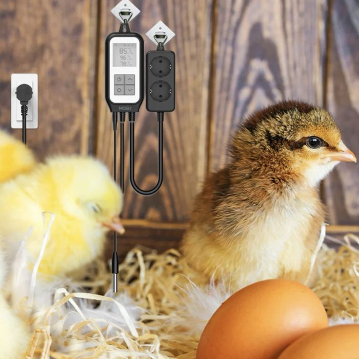 Инкубатор Хизмати