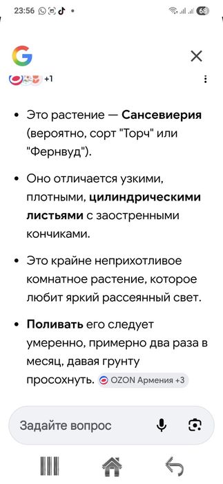 Продам сансвиерию сортов.