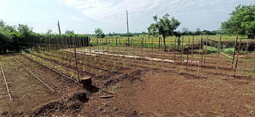 СОБСТВЕНИК! Къща в село Добри дол, област Пловдив