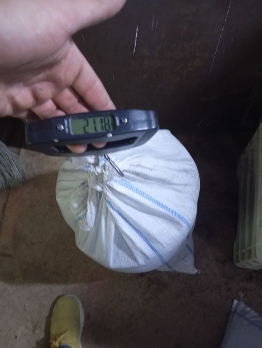 Биогумус удобрения