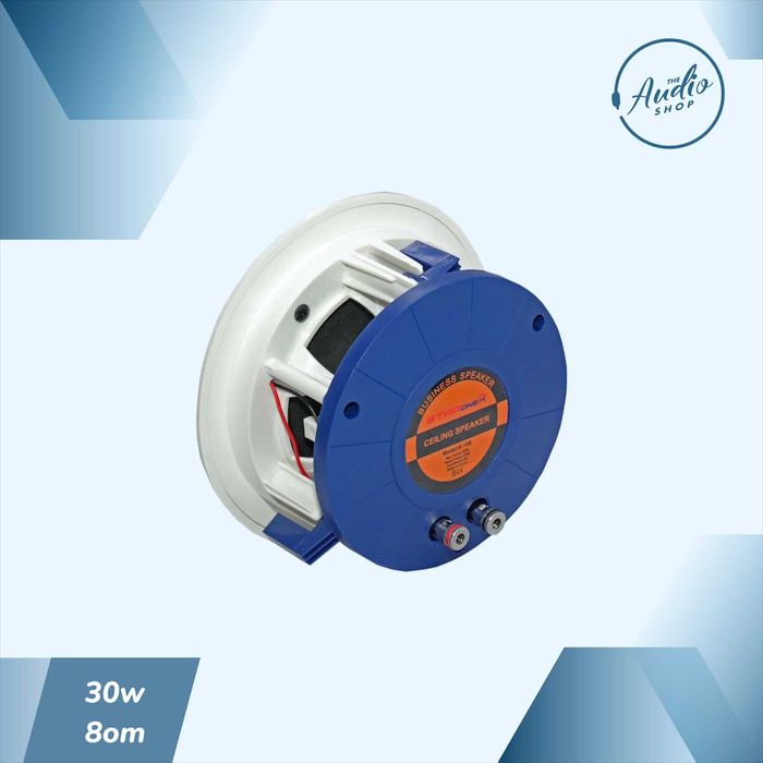 Пассивная потолочная колонка для фоновой музыки 30wat