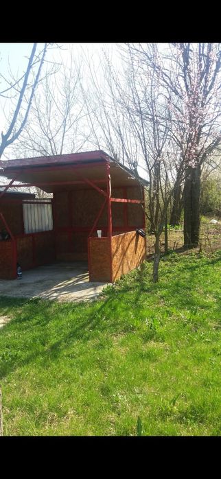 Vând teren Naipu( Ghimpați)