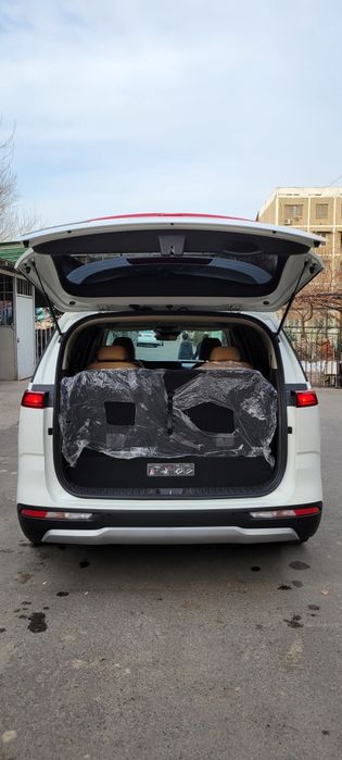 Kia carnival 2021/2022 Своя