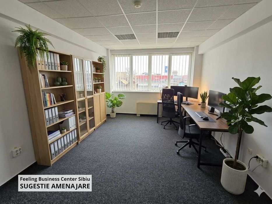 Birouri de închiriat în Sibiu, direct de la proprietar, fără comision