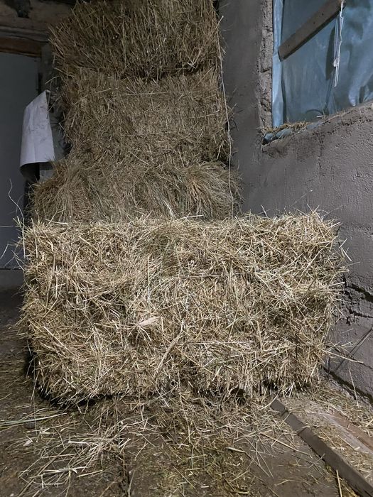 Қырдың шөбі гарантия