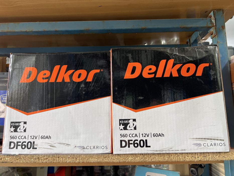 Delkor hamma razmerlaridan bor