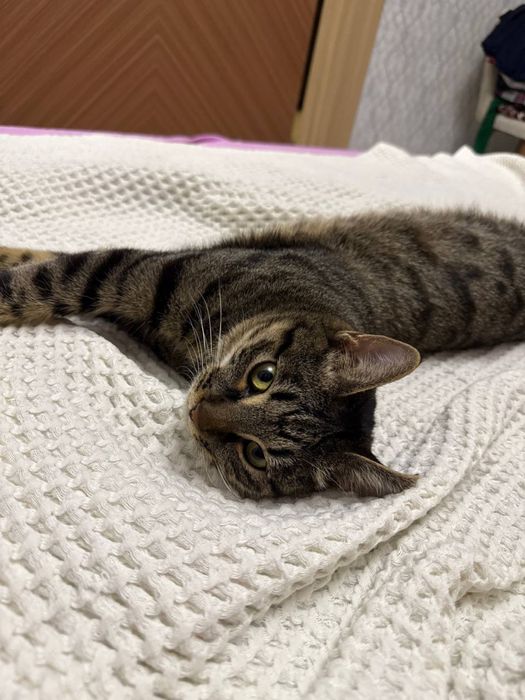 Малыш ждет своего человека!