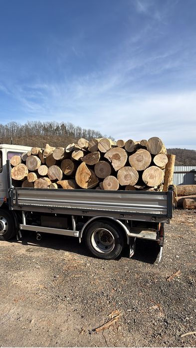 Lemne de foc esenta tare