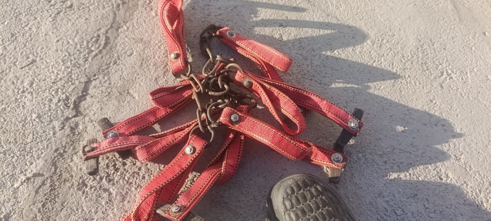 Тұсау сатылады (Жылқыға)