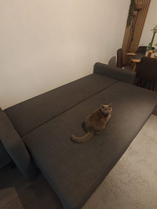 Canapea Ikea extensibila