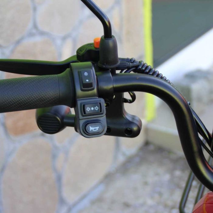 Двуместна електрическа триколка MaxMotors Pudding 1800W-48V-20Ah