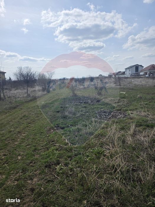 Loturi teren 500 /1000 mp Dumbraveni Balotesti utilitati