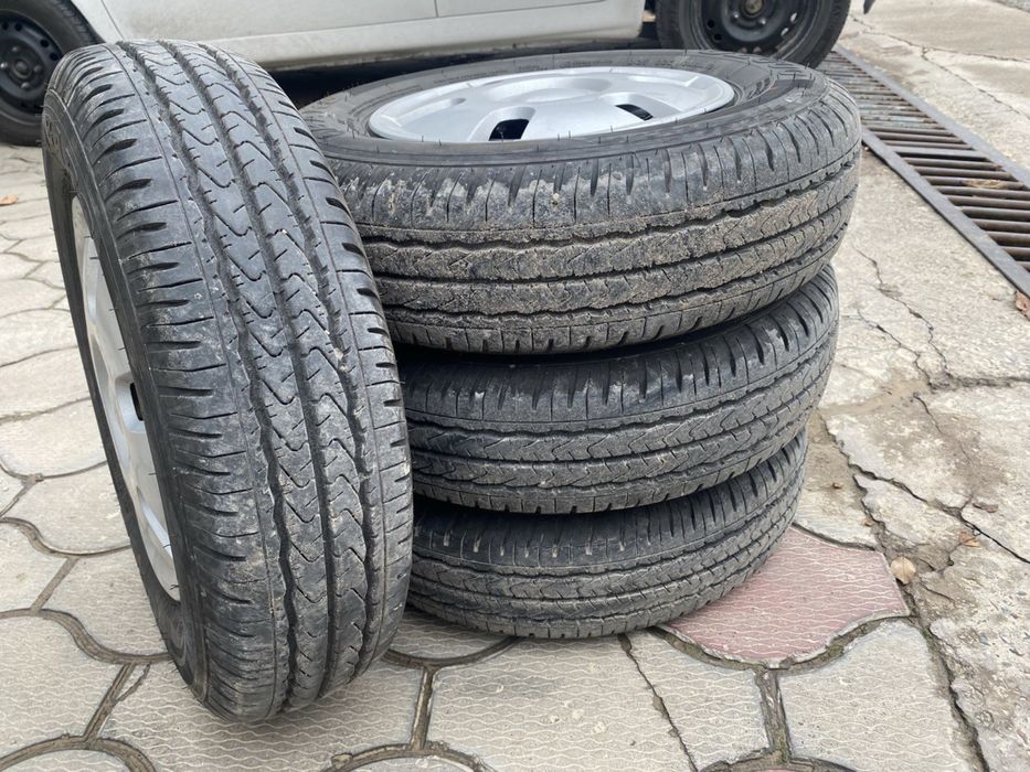 Damas balon Bars R12